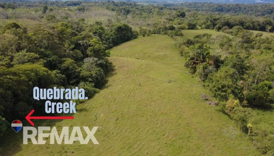 FINCA EN VENTA EN QUIZARRÁ, PÉREZ ZELEDÓN – 24.113 m² CON ALTO POTENCIAL - Venta en Perez Zeledón — photo 3