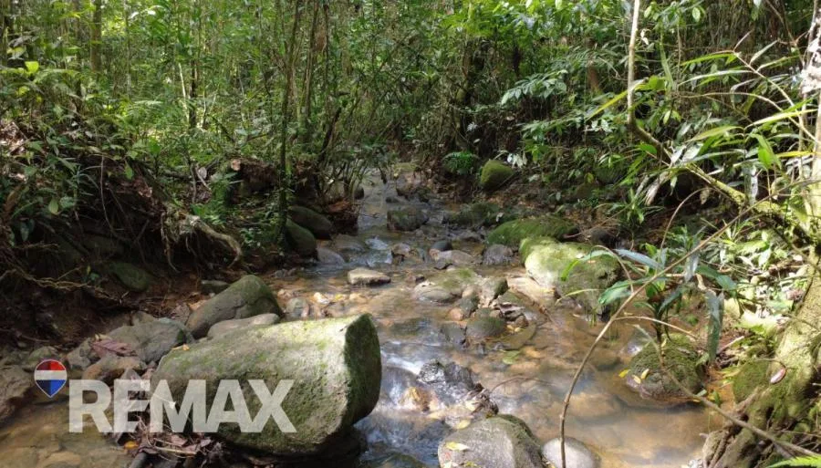 FINCA EN VENTA EN QUIZARRÁ, PÉREZ ZELEDÓN – 24.113 m² CON ALTO POTENCIAL - Venta en Perez Zeledón — photo 4