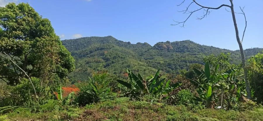 LOTE CON VISTAS 360° EN VENTA SAN RAMÓN SUR PÉREZ ZELEDÓN – LISTO PARA CONSTRUIR - Venta en Perez Zeledón — photo 2