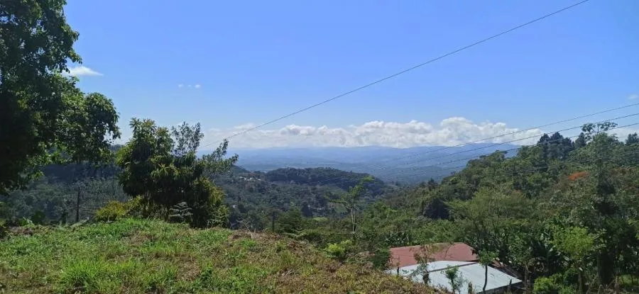 LOTE CON VISTAS 360° EN VENTA SAN RAMÓN SUR PÉREZ ZELEDÓN – LISTO PARA CONSTRUIR - Venta en Perez Zeledón — photo 3