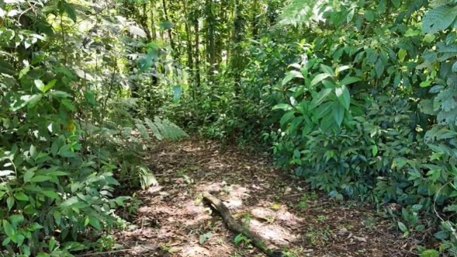 VENTA DE LOTE EN TIRRÁ, RIVAS, COSTA RICA CON VISTA AL VALLE - Venta en Perez Zeledón — photo 4