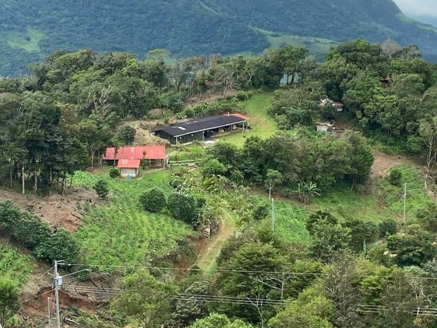 Finca Encantadora en Venta en Zapotal, San Ramón, Alajuela - Venta en San Ramón