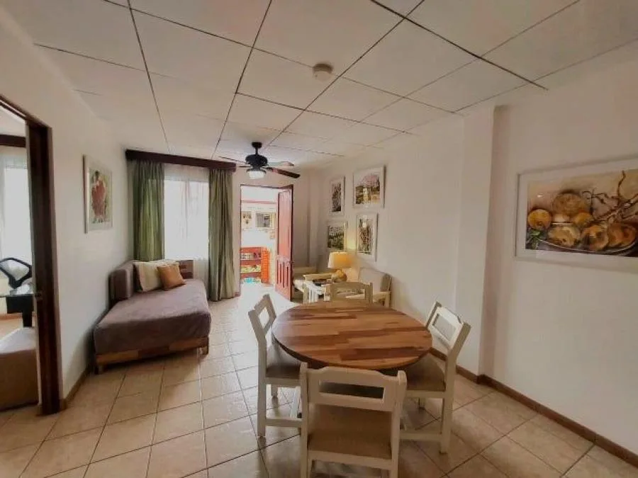 Hermoso apartamento de 2 habitaciones, 1 baño, 1 parqueo, amueblado, excelentes amenidades, Gym, piscina, salón multiuso, seguridad 24/7 — photo 3