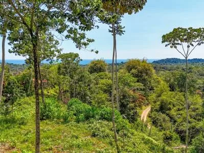 Terreno en venta en Ojochal | Propiedad con vista al mar para desarrollo inmobiliario