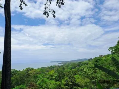 Propiedad Única con Vista al Mar y Selva Cerca de Playa Cocles