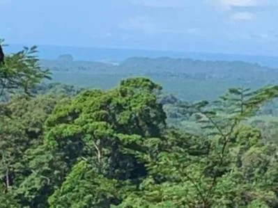 Cumbre Tocori: 30 Hectáreas de Agua Pura y Vistas de 230° al Pacífico