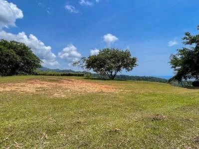 Terreno con vista al mar en venta en Uvita, Costa Rica | Vista a la cola de ballena