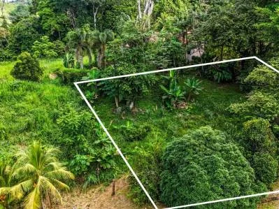 Terreno edificable en la exclusiva comunidad cerrada de Ojochal.
