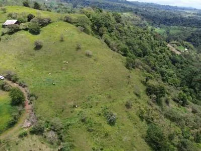🏞️Se Vende Terreno para Quinta en Turrialba✨ 59.411 m² ₡55.000.000 📲8830 4140