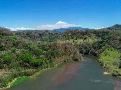 Dos Fincas de Desarrollo con 105 Ha en Venta en Balsa, Atenas – ¡Precio Reducido!