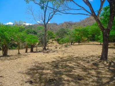 Dos Fincas de Desarrollo con 105 Ha en Venta en Balsa, Atenas – ¡Precio Reducido!, photo 4