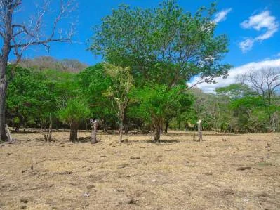 Dos Fincas de Desarrollo con 105 Ha en Venta en Balsa, Atenas – ¡Precio Reducido!, photo 5