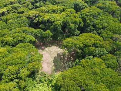 Tu refugio privado en la jungla a solo minutos de Dominical.