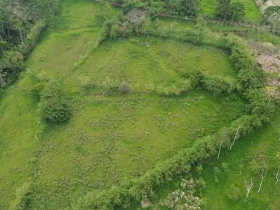 🌳En Venta: Finca en Jabillos, Turrialba – 27.325 m² 🔥¡Excelente Precio!📲8830 4140