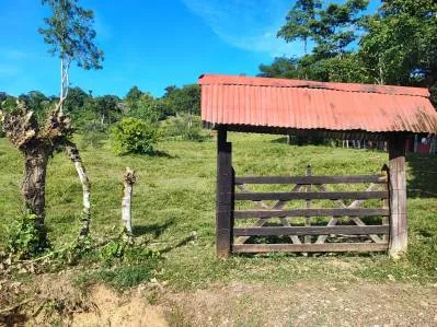 ¡Oportunidad Única! Finca de 6 Hectáreas en el Paraíso de Bribri, Costa Rica