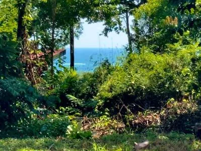 Santuario tropical sobre Uvita: Finca selvática de 2 hectáreas con vista impresionante a la montana