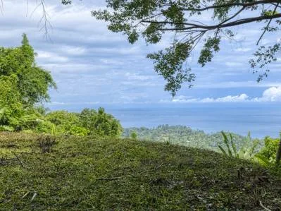 Sitio web para la casa de tus sueños en Hermosa