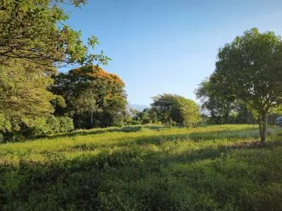 OPORTUNIDAD CERCA DE SAN ISIDRO: IDEAL PARA DESARROLLO RESIDENCIAL O COMERCIAL.