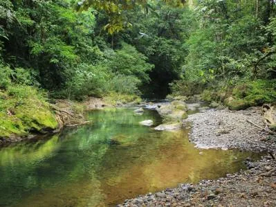 Un Santuario Raro en una Selva Tropical entre Dos Ríos | Sarapiquí, Costa Rica