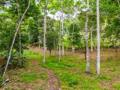25-Acre Property for Sale in La Palma, Pérez Zeledón