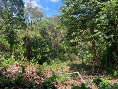 Lote a la Venta Manuel Antonio Costa Rica El Salto