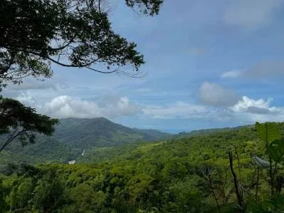 Terreno de lujo rodeado de exuberante selva y bordeado por un arroyo con vista al océano.