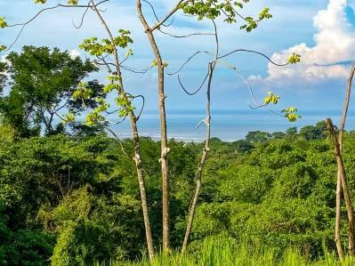 Lotes con vista al océano y a la montaña en Ojochal | Comunidad privada