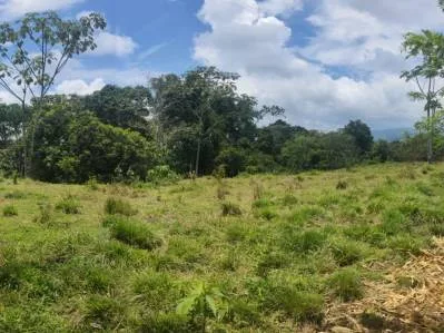 🌿 Se Vende Quinta en Alto Varas, Turrialba   8830 4140