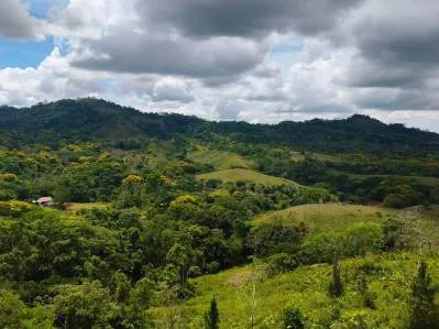 Lote de 7,500 m² en Tárcolitos con Vista a Carara y Bijagual – Listo para Construir