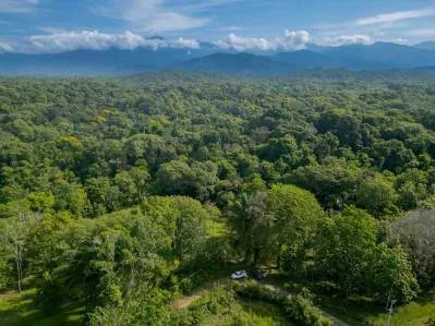 Dos lotes con título de propiedad cerca de Marina Pez Vela Rainforest Creek Estate