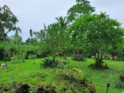 Lote Listo para Construir a Solo 250 Metros de la Playa en Playa Negra