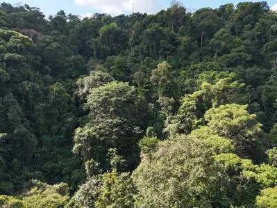 Refugio de montaña con cascada, fauna silvestre y suelo orgánico.