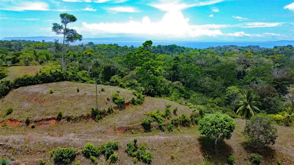 LOTE PRINCIPAL CON VISTA AL MAR EN LA ÚNICA COMUNIDAD CERRADA DE PAVONES