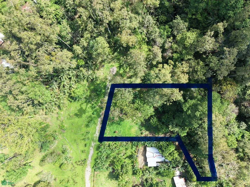 Lote de Escape a la Naturaleza Caribeña