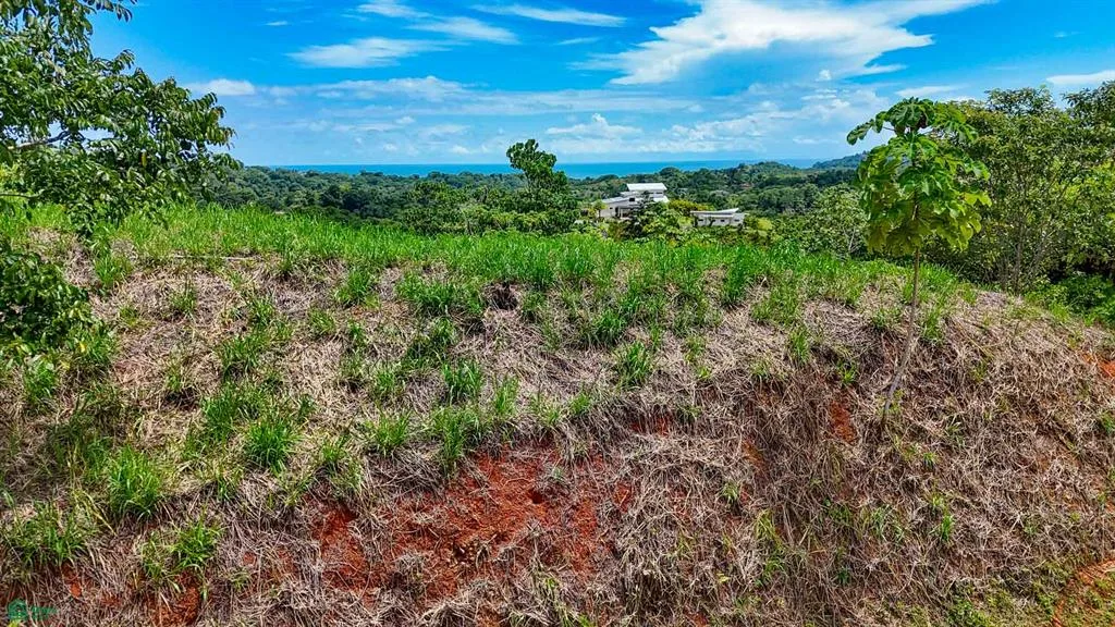 Terreno de 2.36 acres con vista al mar y diseño de casa en Ojochal, Costa Rica.