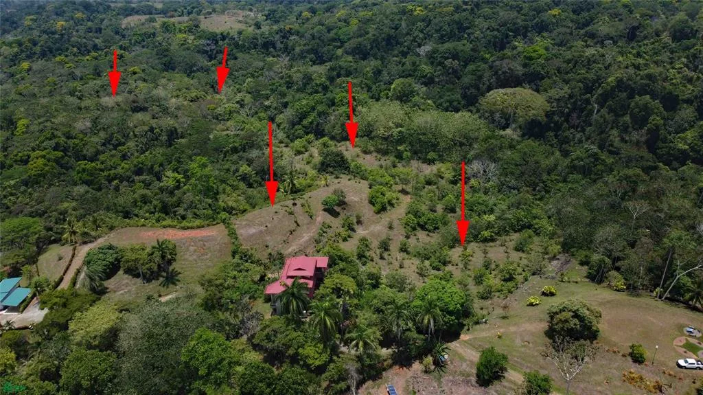 Amplio Lote con Vista a la Montaña y Acceso al Río en Comunidad Privada