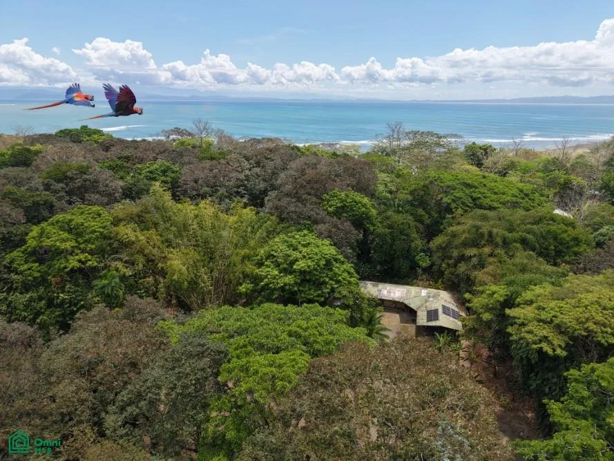 162m de Frente de Playa | 2.18 Ha | Peninsula de Osa