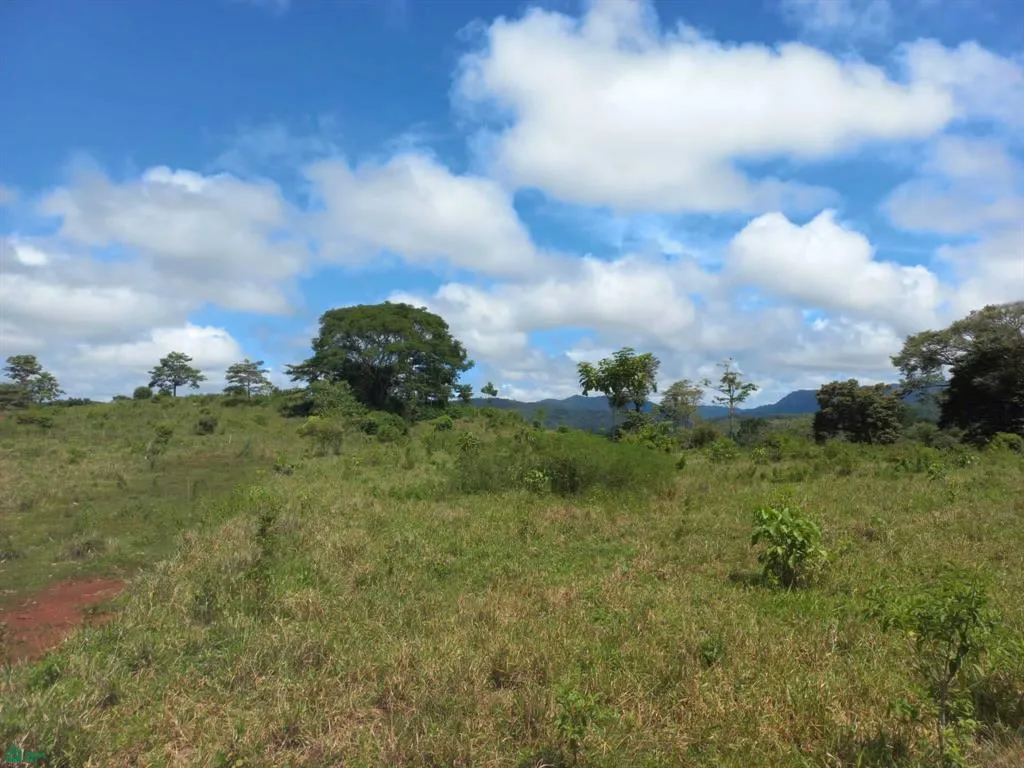 La Tierra de Ensueño