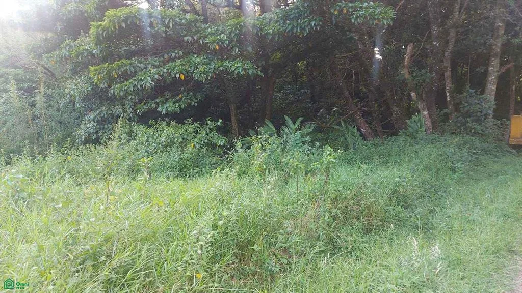 Lote en Venta en San Rafael de Heredia Residencial el Castillo