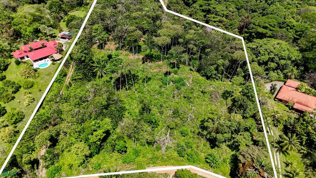 Terreno de 5,75 acres en venta en Ojochal | Propiedad con vista al mar para desarrollo inmobiliario