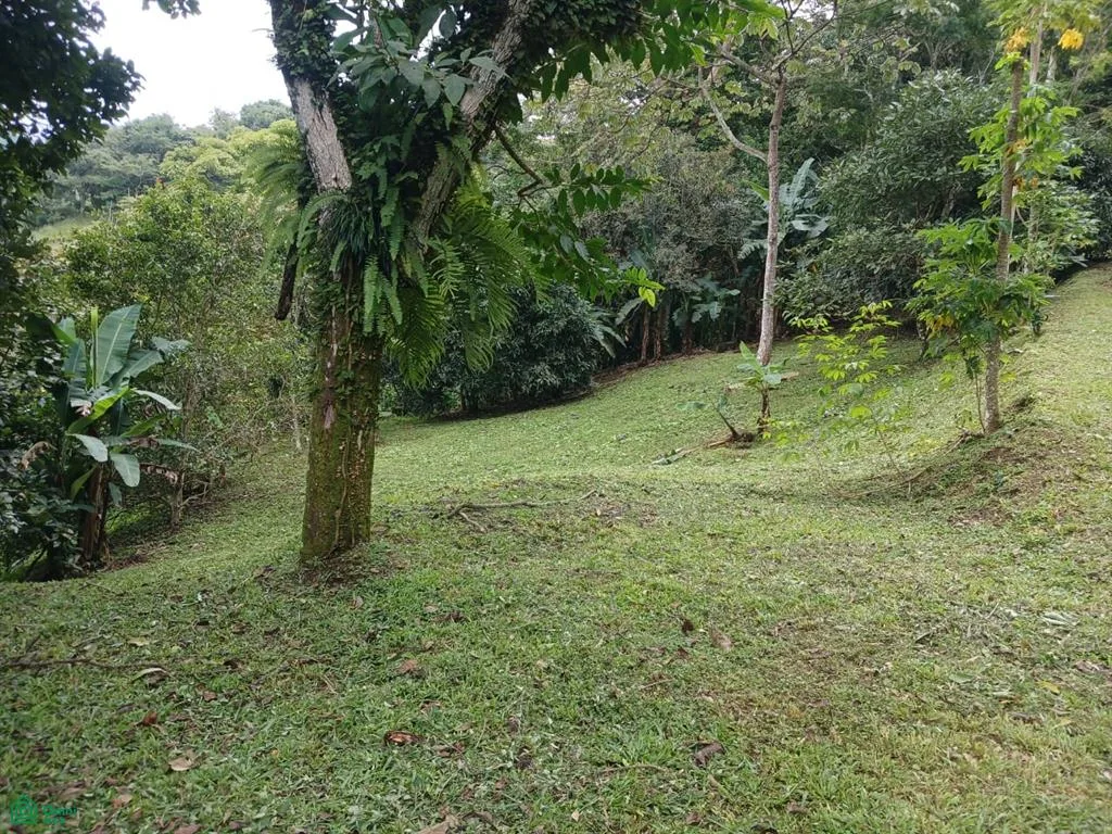 LOTE CON DOS TERRAZAS NATURALES LISTAS PARA CONSTRUIR | SALITRILLO, PURISCAL — photo 4