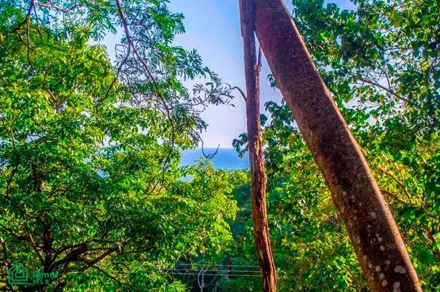 Comunidad cerrada y vida de montaña en La Reserva Camaronal