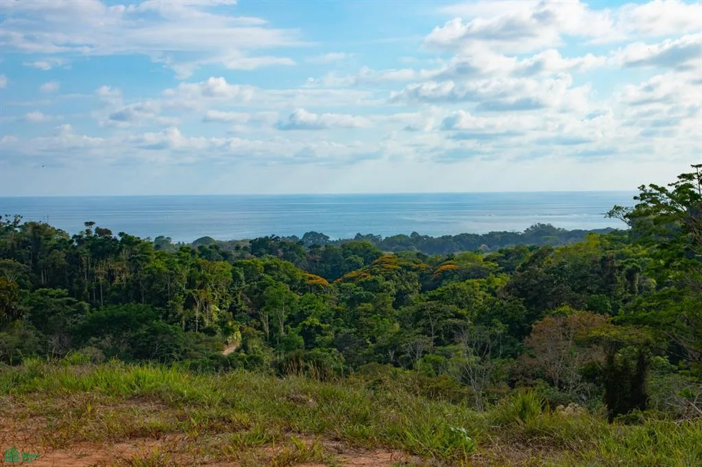 10 acres – Exclusiva urbanización o finca con vistas al mar en Uvita – ¡Con cascada!
