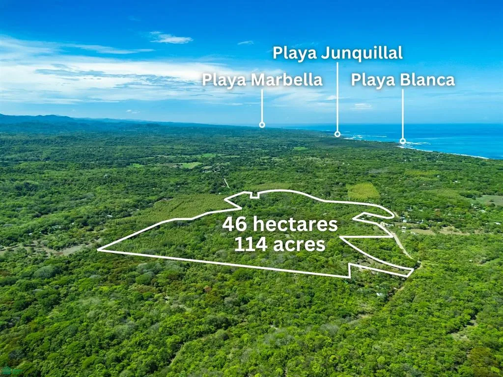Santuario Privado de 46 Hectáreas con Río, Bosque y Potencial Infinito