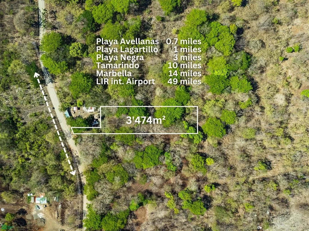 Lote de Uso Mixto a Pasos de la Playa Avellanas