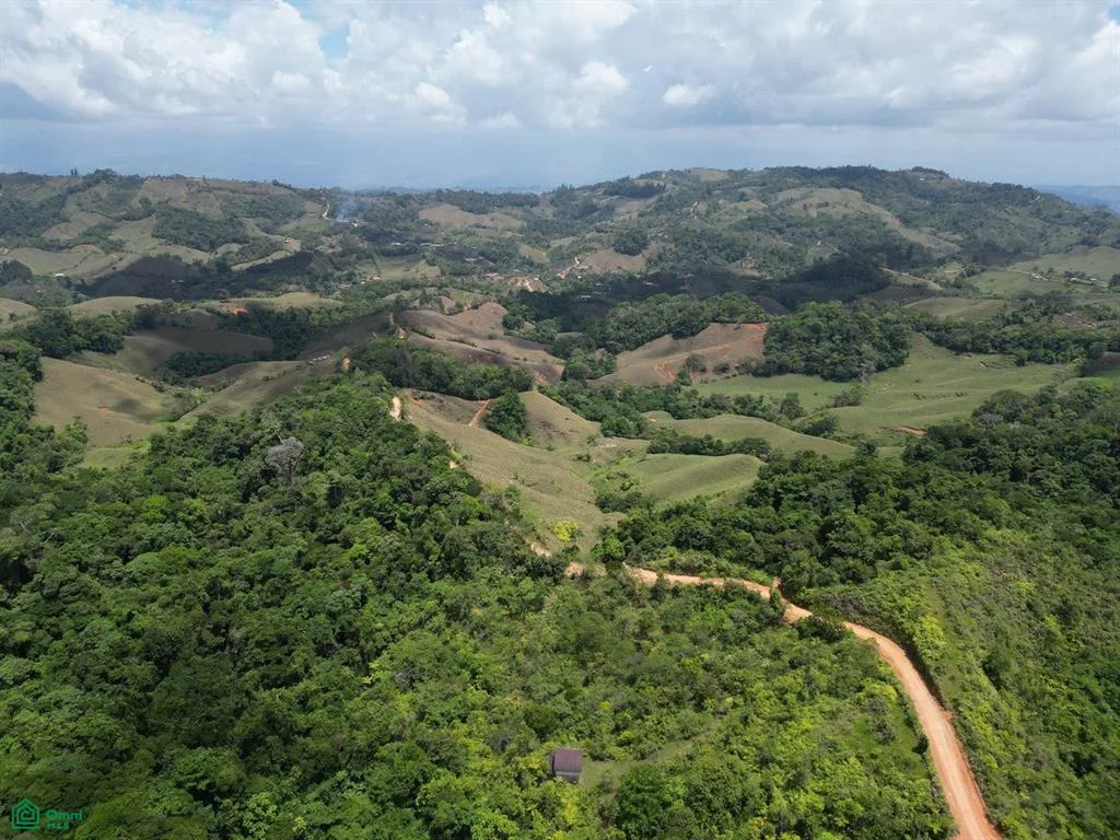 32 ACRES – Terreno de montaña con manantial, selva y espacio aprovechable!!!!