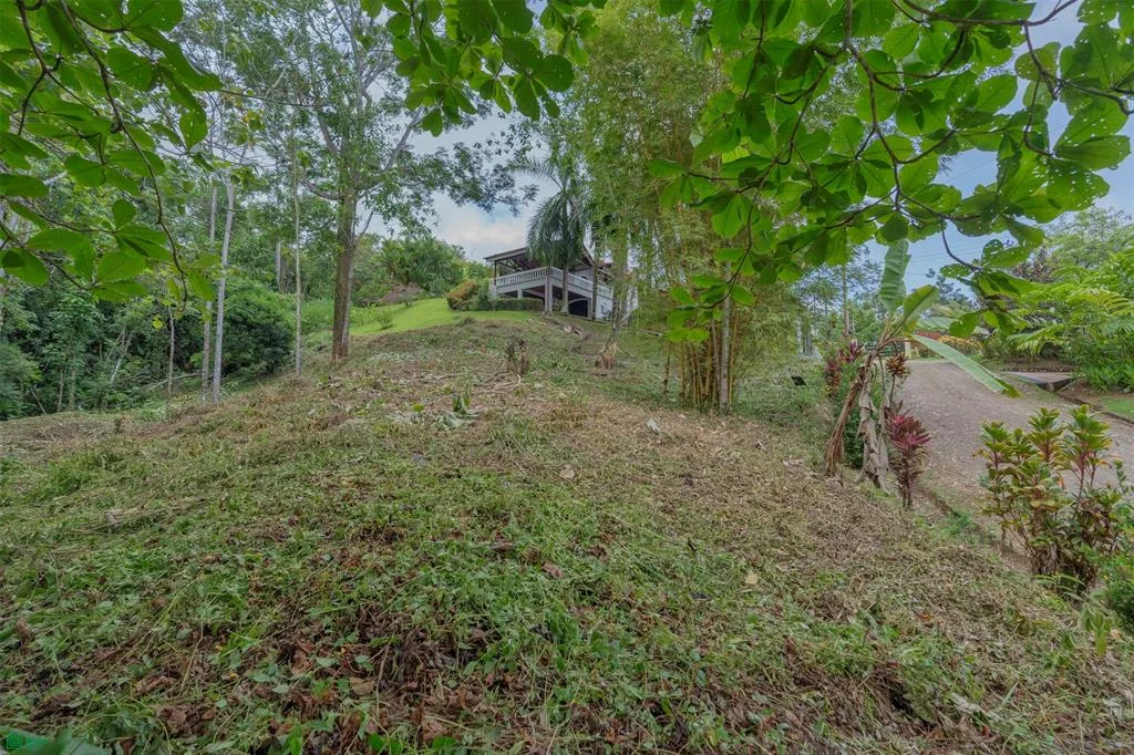 Build-Ready Lot for Sale in Ojochal – Palmera del Trópico Phase 9 | Gated Community, Nature & Beache