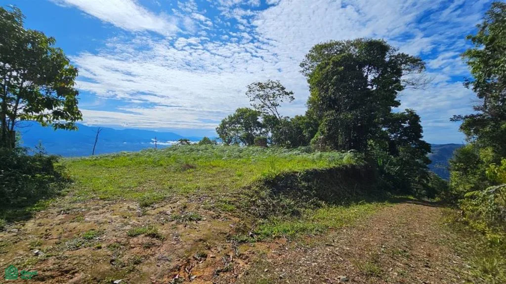 Paraíso Natural en Costa Rica: Finca en Altos de Ojo