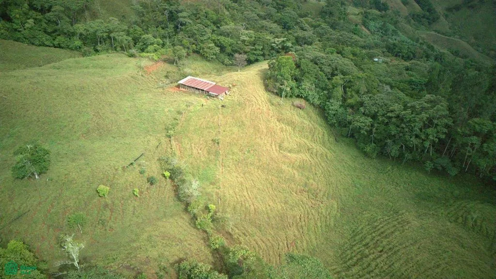 74.25 ACRES – ¡Una exclusiva finca a orillas del río con manantiales cristalinos!!!
