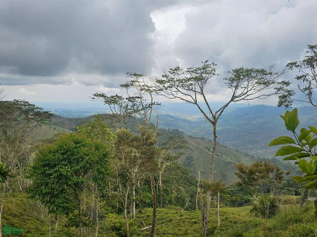 74.25 ACRES – ¡Una exclusiva finca a orillas del río con manantiales cristalinos!!! — photo 2